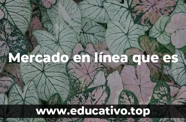 Mercado en línea que es