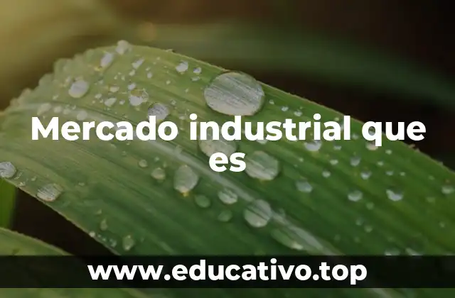 La importancia del mercado industrial en la economía global