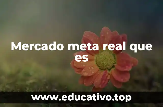 Mercado meta real que es