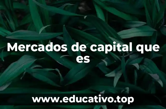 Mercados de capital que es