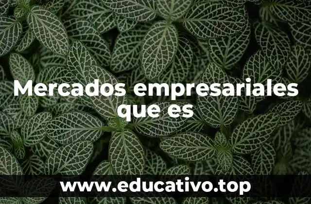 Mercados empresariales que es