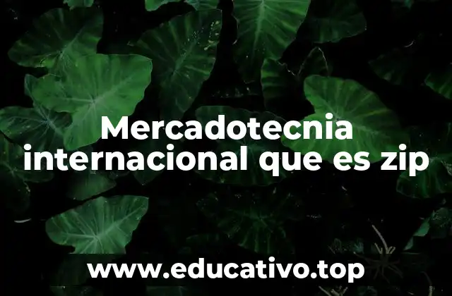 Mercadotecnia internacional que es zip