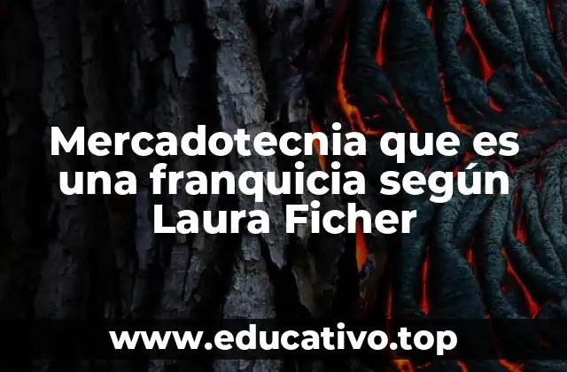 Mercadotecnia que es una franquicia según Laura Ficher