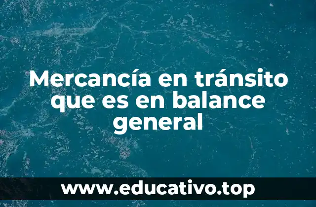 Mercancía en tránsito que es en balance general