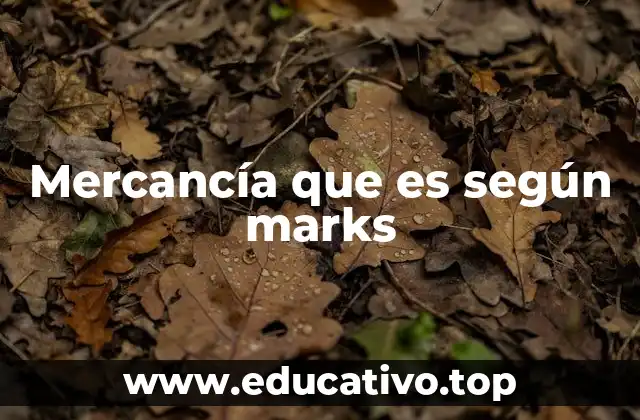 Mercancía que es según marks