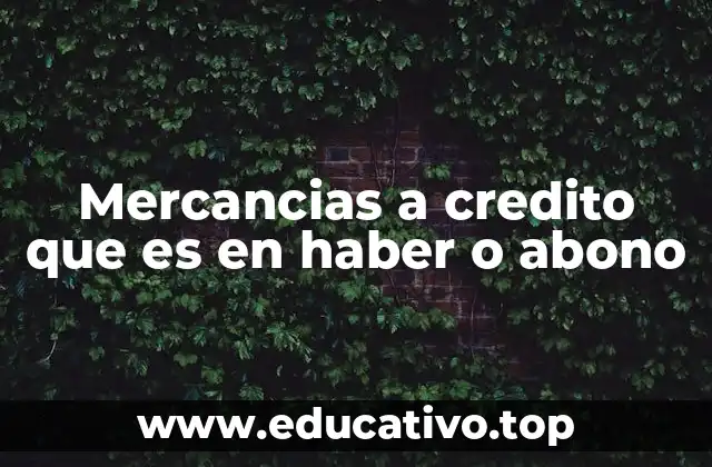 Mercancias a credito que es en haber o abono