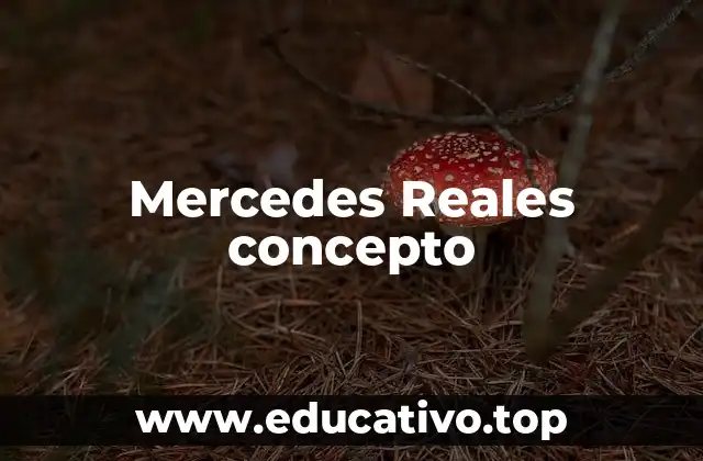 Mercedes Reales concepto