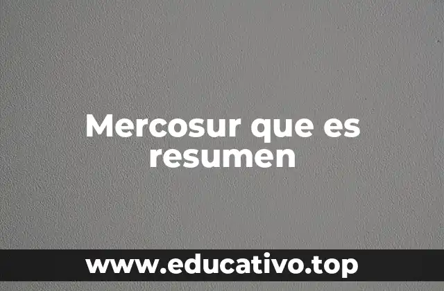 Mercosur que es resumen