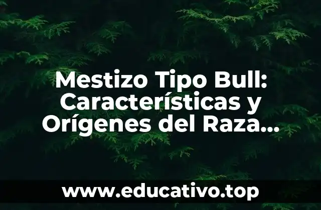 Mestizo Tipo Bull: Características y Orígenes del Raza Canina