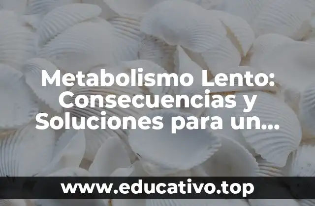 Metabolismo Lento: Consecuencias y Soluciones para un Cuerpo Saludable