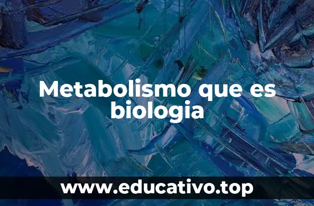 Metabolismo que es biologia