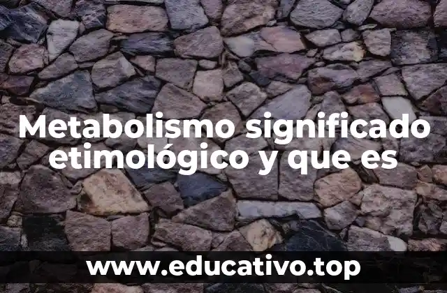 Metabolismo significado etimológico y que es