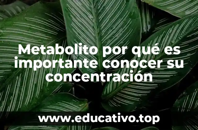 Metabolito por qué es importante conocer su concentración