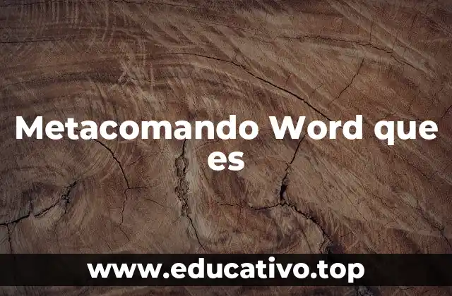 Metacomando Word que es
