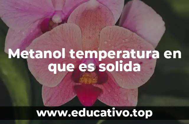 Metanol temperatura en que es solida