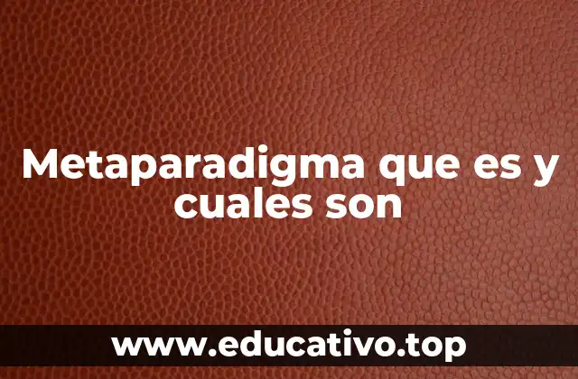Metaparadigma que es y cuales son