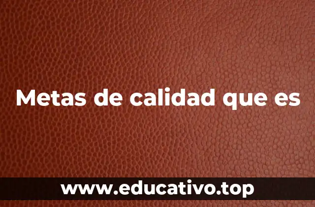 Metas de calidad que es
