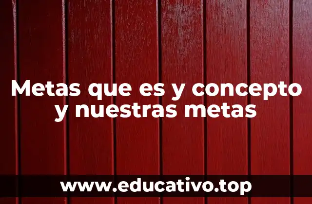 Metas que es y concepto y nuestras metas