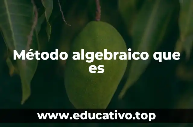 Método algebraico que es