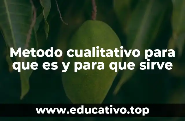 Metodo cualitativo para que es y para que sirve