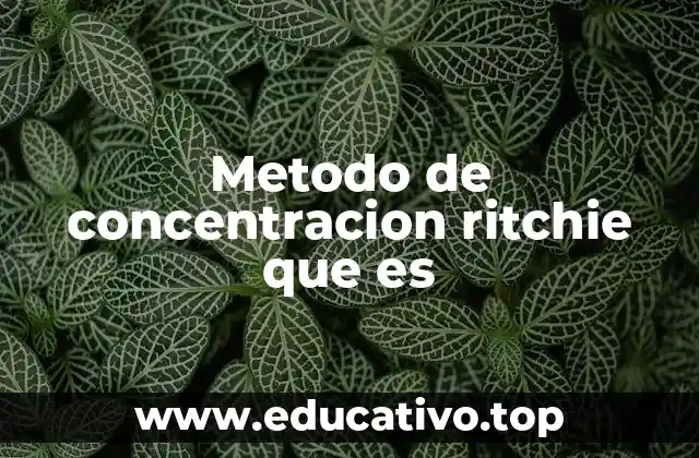 Metodo de concentracion ritchie que es
