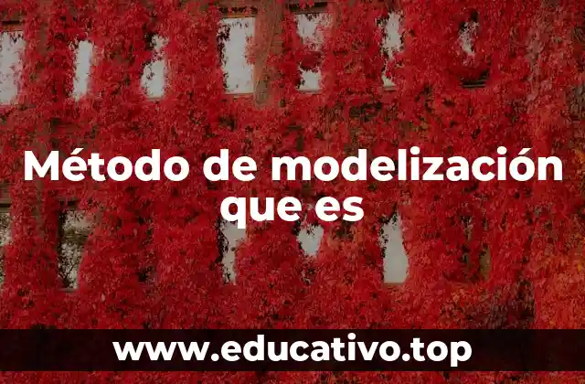 Método de modelización que es