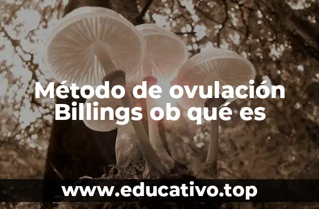 Método de ovulación Billings ob qué es