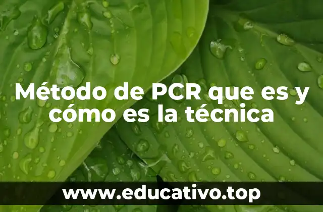Método de PCR que es y cómo es la técnica