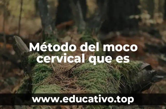 Cómo funciona el sistema de observación del cuerpo para detectar fertilidad