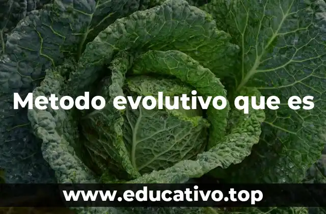 Metodo evolutivo que es