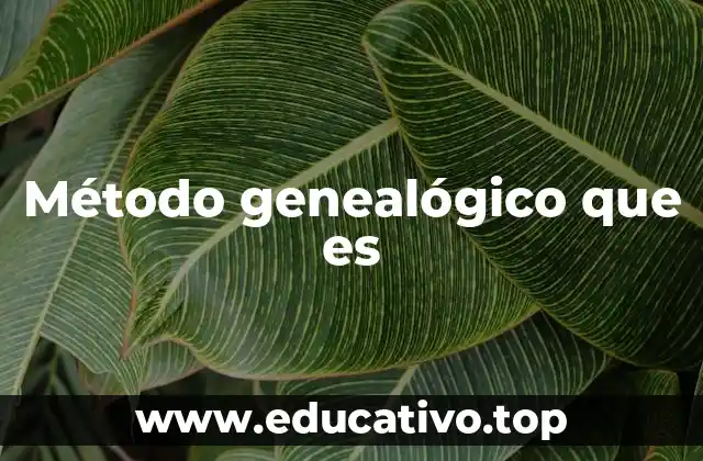 Método genealógico que es