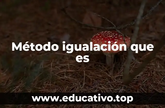 Método igualación que es