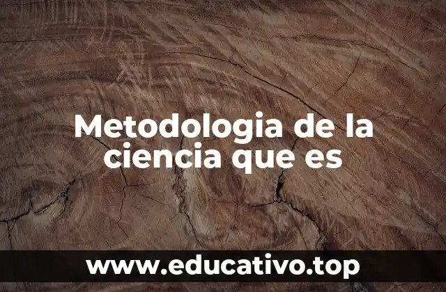 Metodologia de la ciencia que es