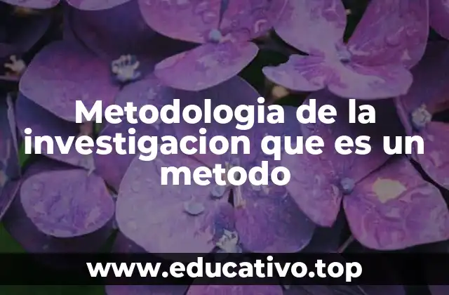 Metodologia de la investigacion que es un metodo