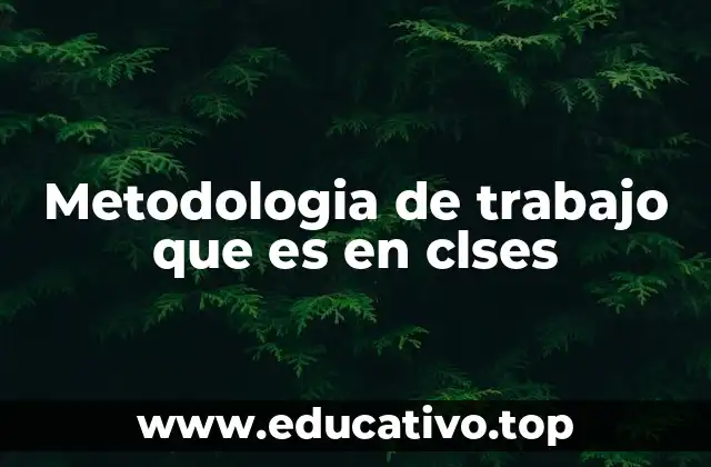 Metodologia de trabajo que es en clses