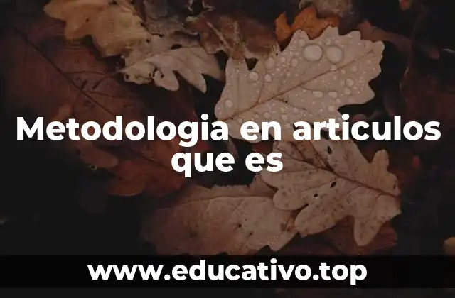 Cómo se desarrolla la metodología en un artículo