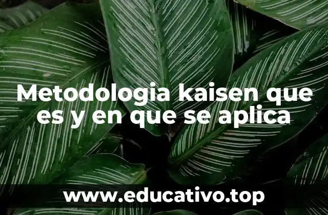 Metodologia kaisen que es y en que se aplica