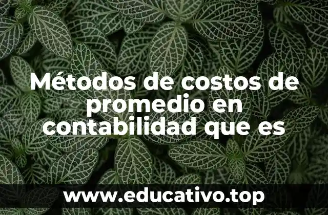 Métodos de costos de promedio en contabilidad que es