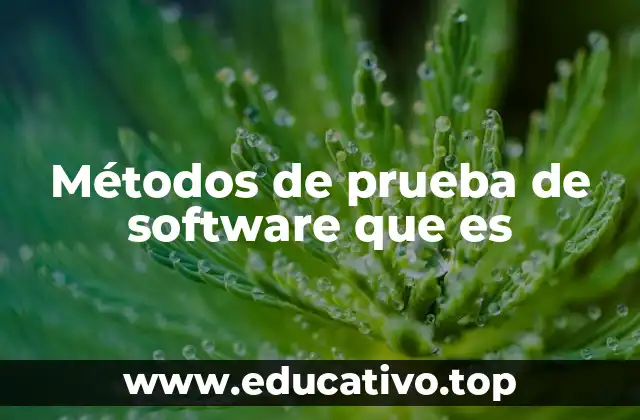 Métodos de prueba de software que es
