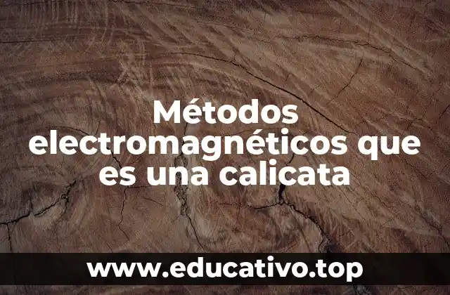 Métodos electromagnéticos que es una calicata