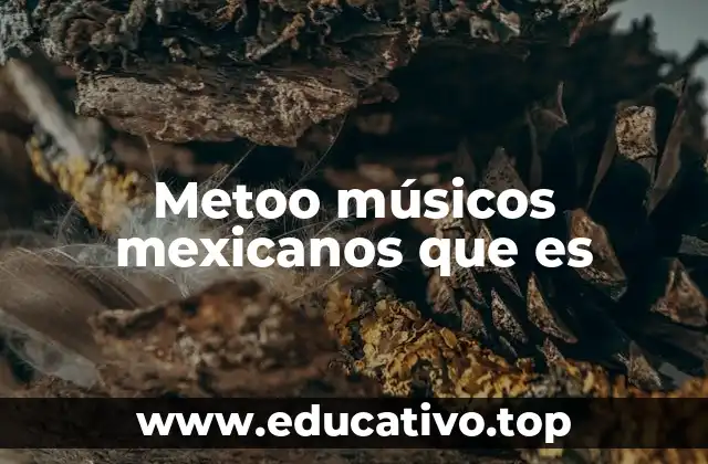 Metoo músicos mexicanos que es