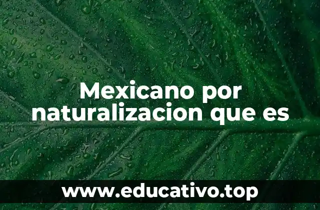 Mexicano por naturalizacion que es