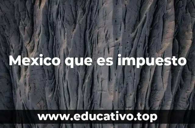 La importancia de los impuestos en la economía nacional