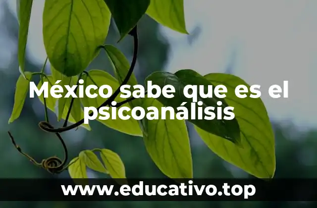 México sabe que es el psicoanálisis