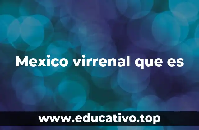Mexico virrenal que es