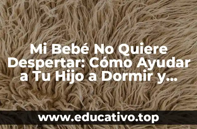 Mi Bebé No Quiere Despertar: Cómo Ayudar a Tu Hijo a Dormir y Despertar con Éxito