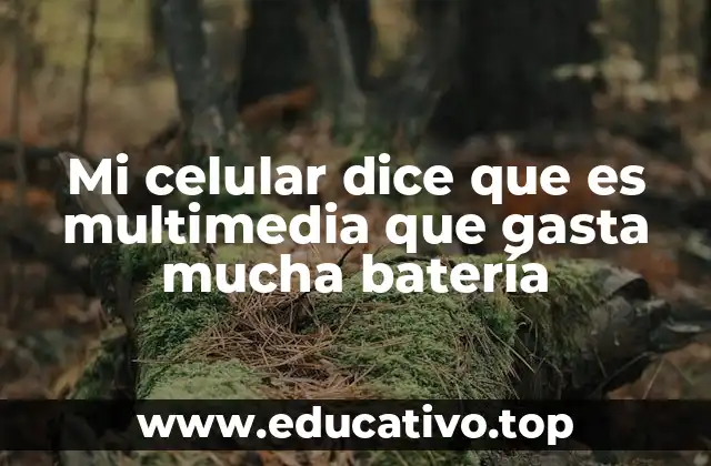 Mi celular dice que es multimedia que gasta mucha batería