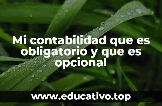 Mi contabilidad que es obligatorio y que es opcional