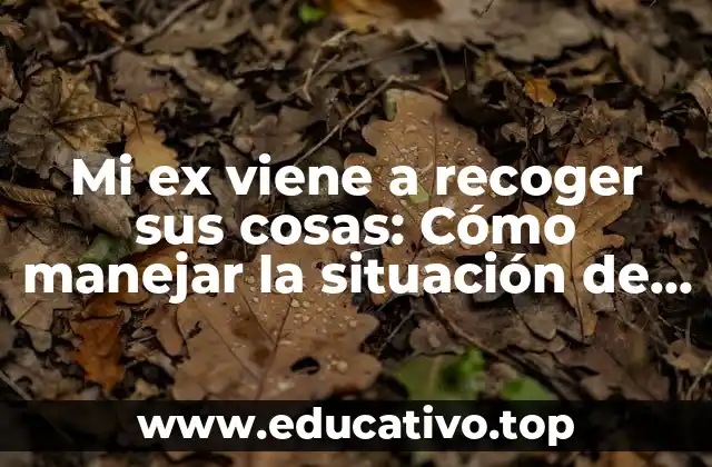 Mi ex viene a recoger sus cosas: Cómo manejar la situación de manera pacífica