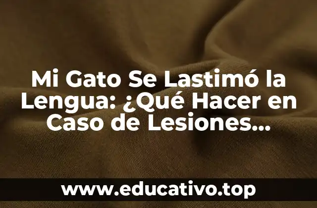 Mi Gato Se Lastimó la Lengua: ¿Qué Hacer en Caso de Lesiones Linguales en Felinos?